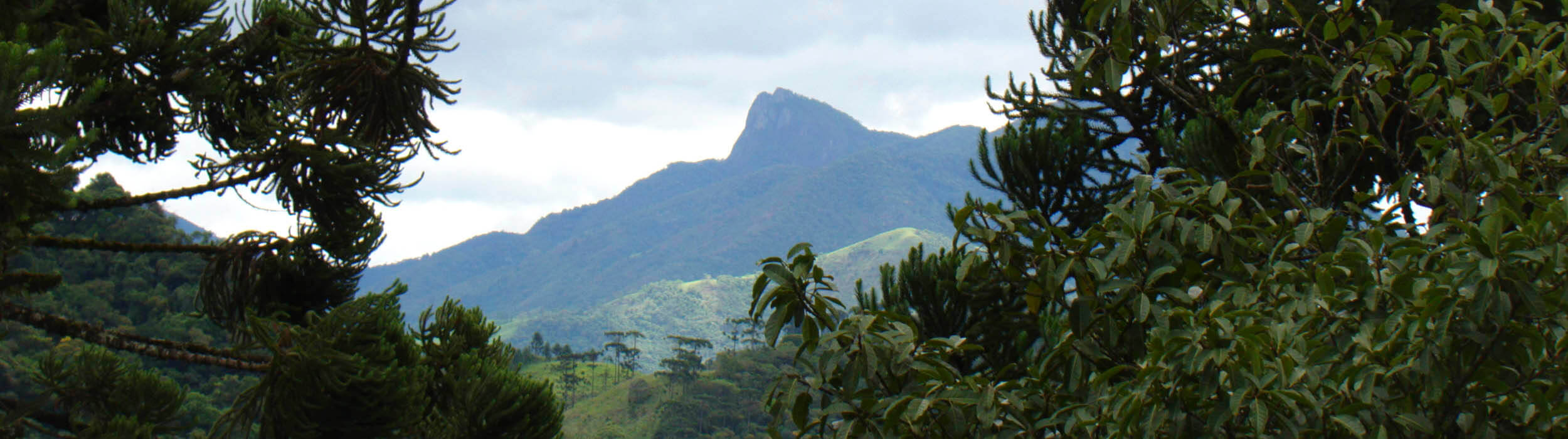 Turismo em Visconde de Mauá - Pousada Visconde de Mauá